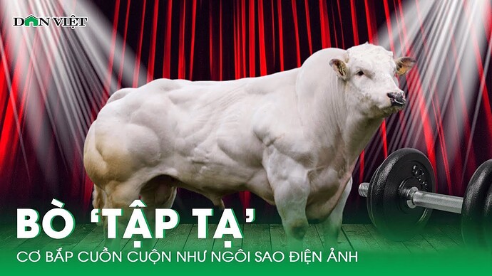 3160e53e0d48d8168159