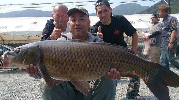 52283f5fac9c0bc2528d5