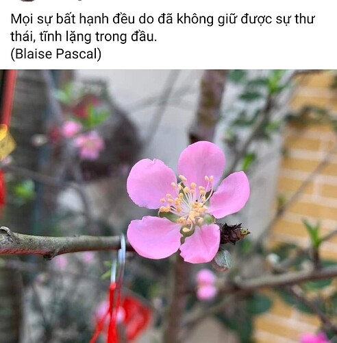 Screenshot_2024-06-09-21-11-57-153-edit_com.facebook.katana