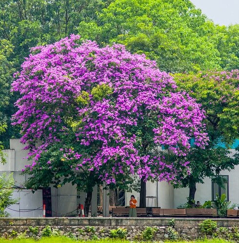 FB_IMG_1750955684860