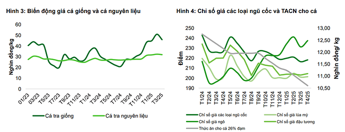Ảnh chụp màn hình 2025-07-01 102250