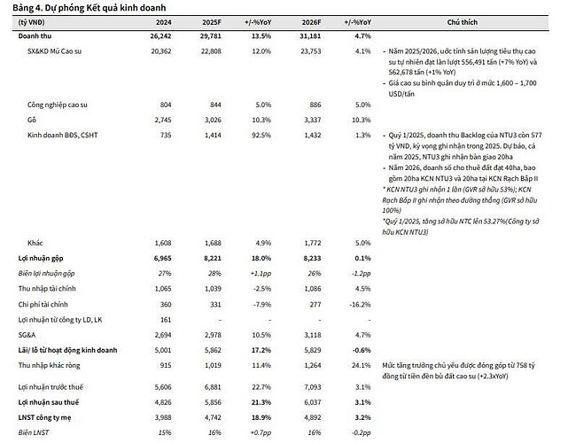 GVR - đẩy mạnh HĐKD cốt lõi, bức tranh còn sáng. (1) Tiềm năng lớn từ chuyển đổi đất cao su sang khu ...