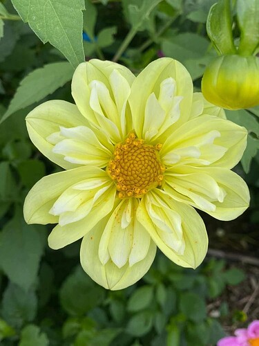 FB_IMG_1754803528542