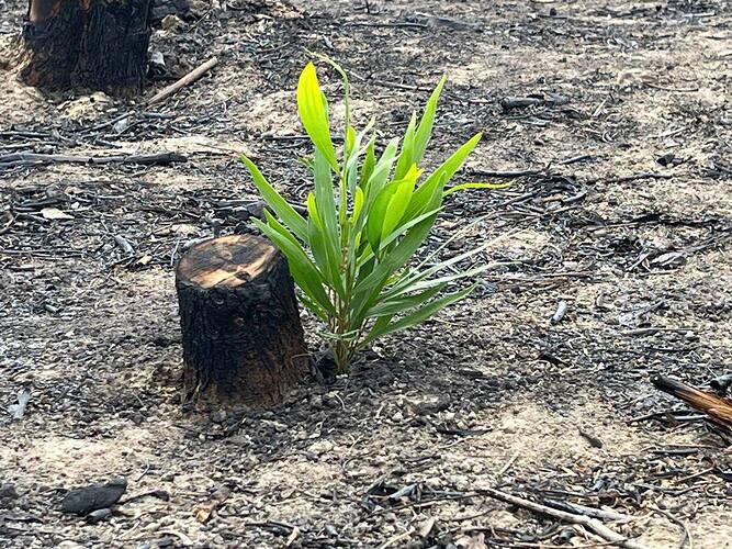 490448689_3947455852135511_5886811934379819192_n