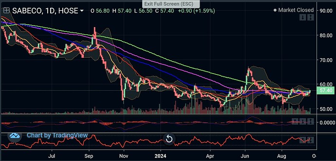 Screenshot_20240922_191226_VNDIRECT