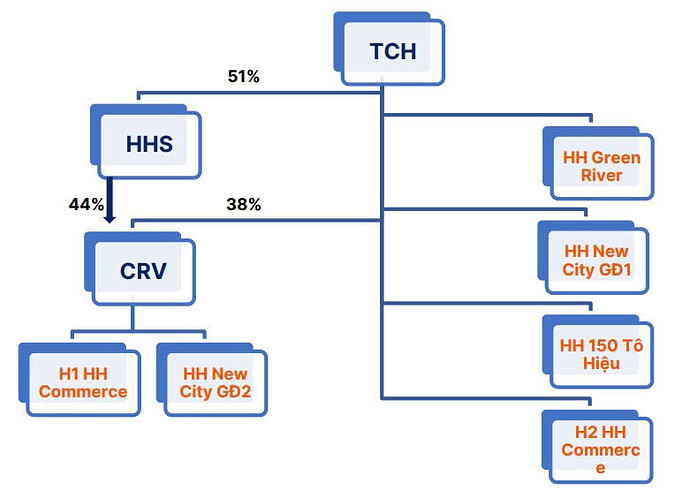 Cấu trúc doanh nghiệp và dự án của TCH theo SHS