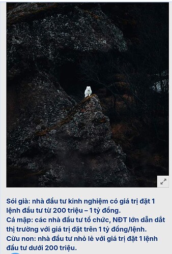 Screenshot_2024-12-05-22-25-18-845-edit_com.opera.browser