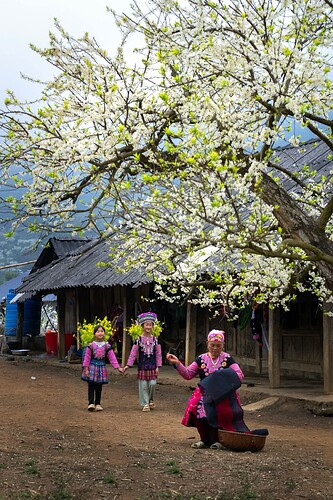 35fe7176-449e-4dff-9a94-62471d8f6163-1_all_18677