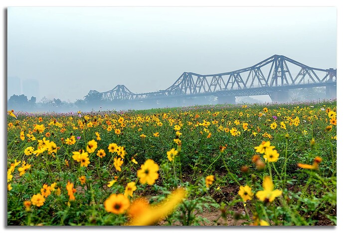 FB_IMG_1768494745841