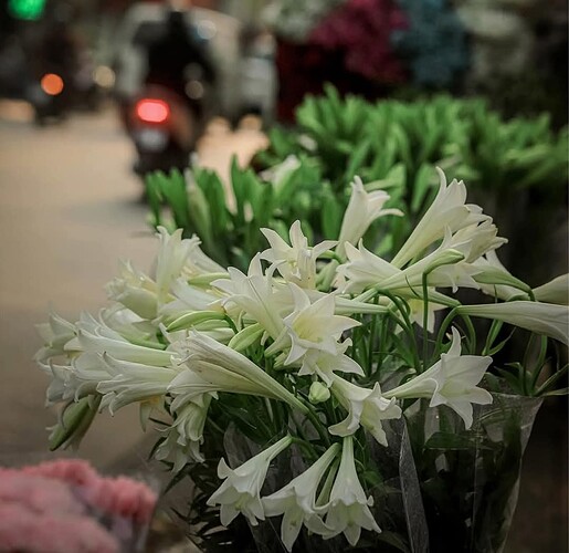 FB_IMG_1745920072660