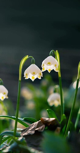 FB_IMG_1753547959037