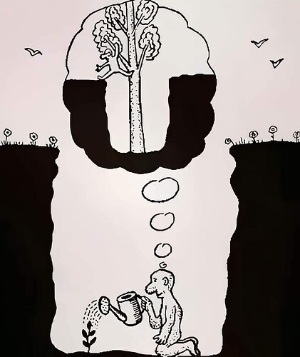 FB_IMG_1733465396020