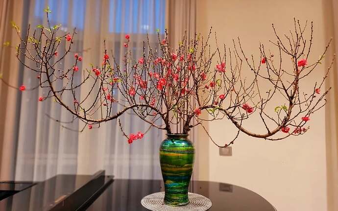 hoa-dao-ngay-tet-1_f0ce071788a1438d903f3ff655895052