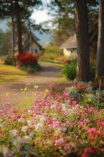 FB_IMG_1755074747827