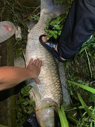 002d6e2bfce85bb602f96