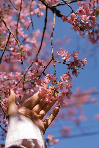 FB_IMG_1770460014065