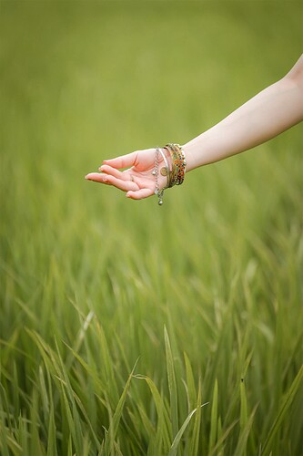 FB_IMG_1756190291190