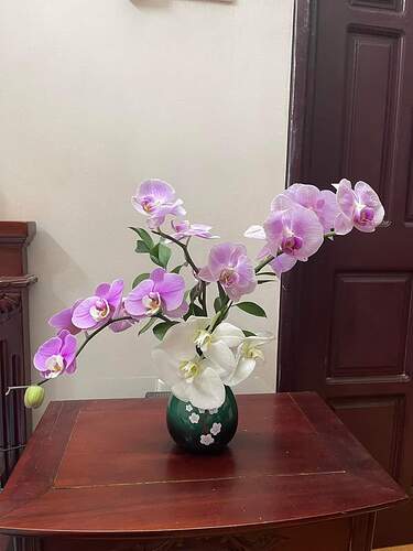 FB_IMG_1678728977310