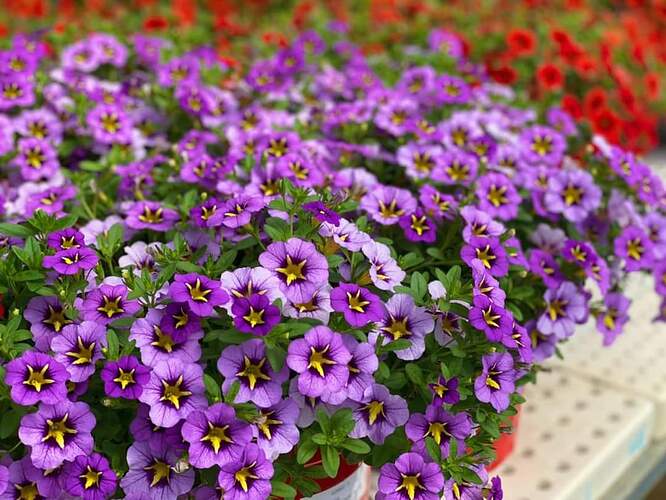 FB_IMG_1724584256982