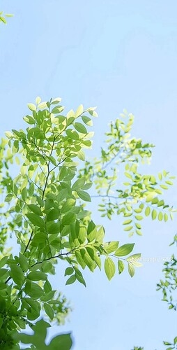 FB_IMG_1743752280022