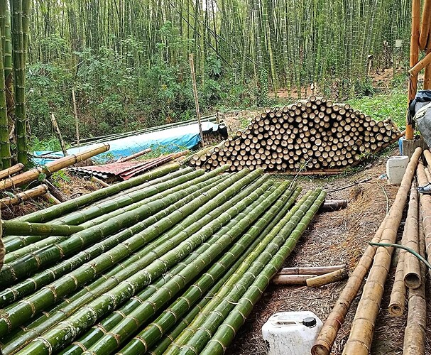 FB_IMG_1759075034781