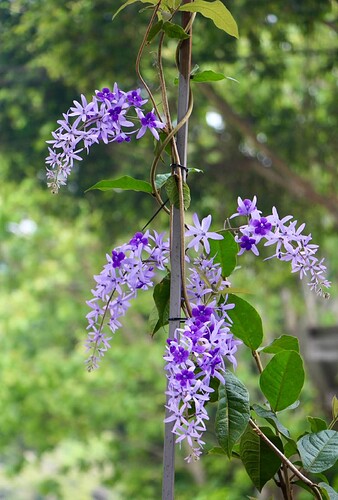 FB_IMG_1740964725849