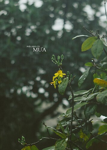 FB_IMG_1761383835441