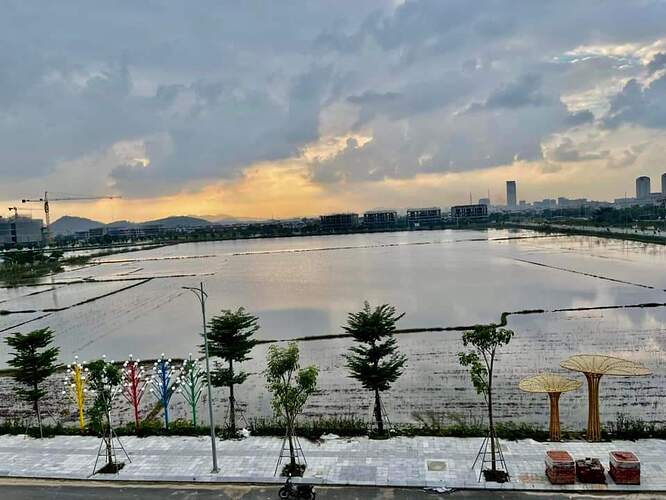 FB_IMG_1701423118622