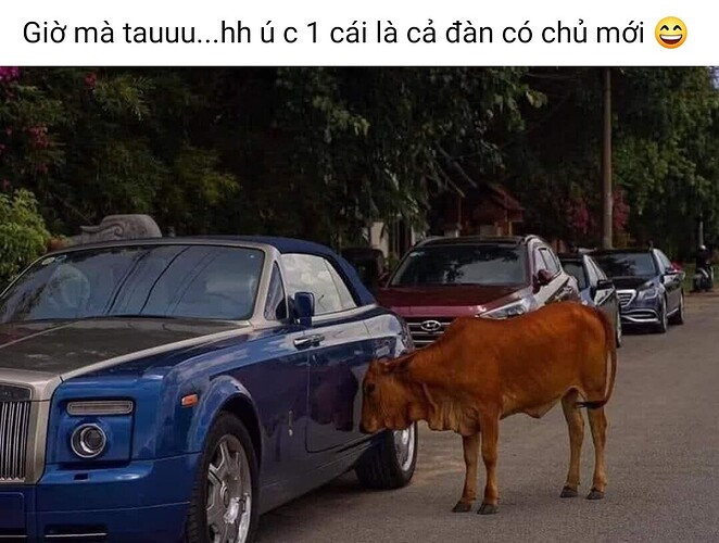 Screenshot_2025-01-22-12-33-53-774-edit_com.facebook.katana