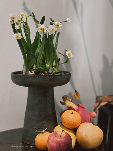 FB_IMG_1771255389399