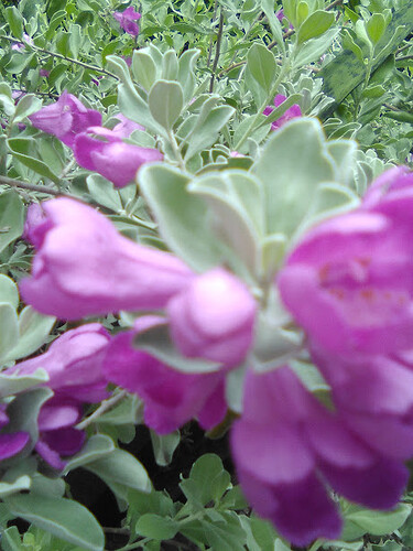 IMG_20230829_082418_191