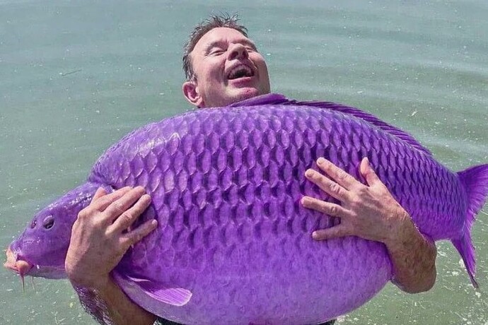 2e76abf7-fdca-4134-ae91-442a274597b3