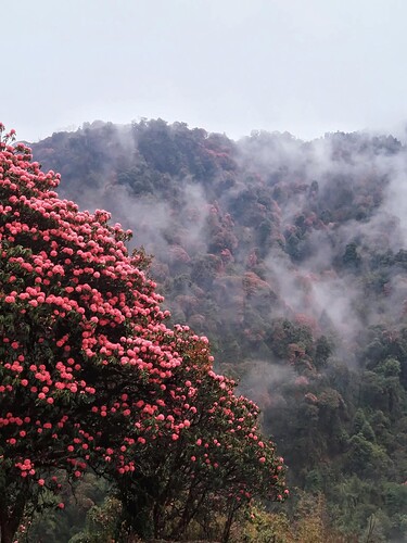 FB_IMG_1740465392752