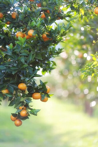 FB_IMG_1744416191346