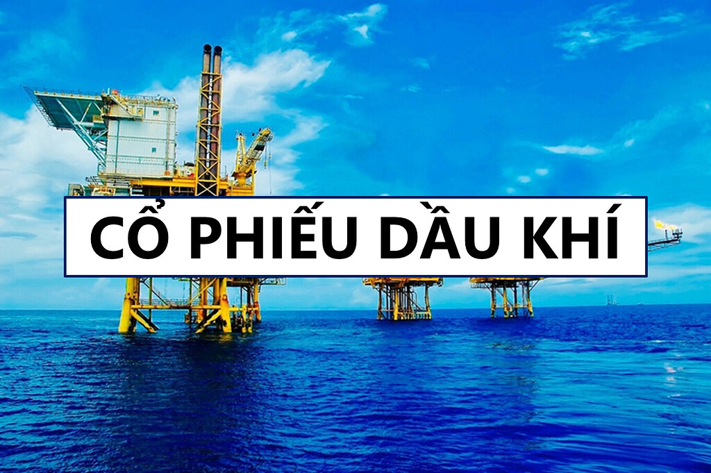 PVS PVD 2024 có hóa rồng như 2014