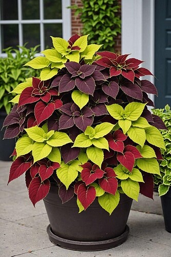 FB_IMG_1741768191392