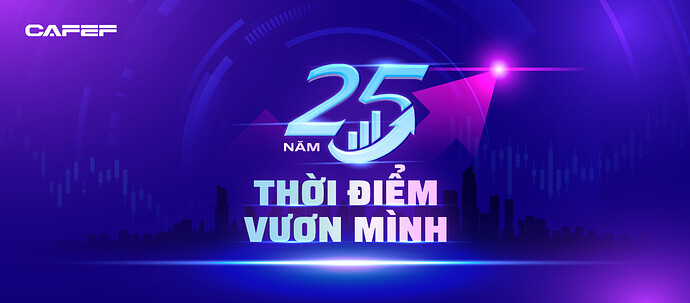 Chứng khoán Việt Nam sau 25 năm: Nâng hạng không phải đích đến mà là khởi đầu chu kỳ phát triển mới- Ảnh 10.