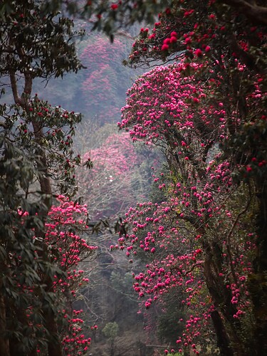 FB_IMG_1739615158539