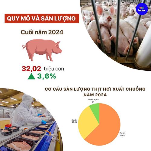 504892116_1135514538599986_669270922066503395_n