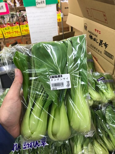 a71e85c94387f9d9a096