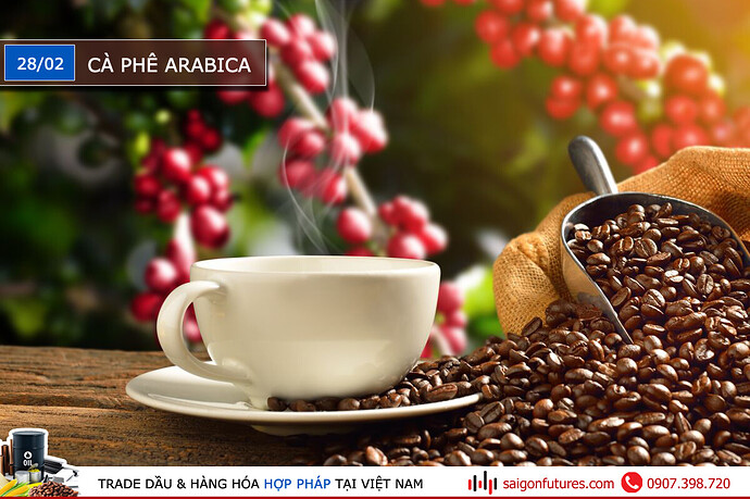 tvf-news-28-02-arabica