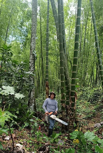 FB_IMG_1759075010754