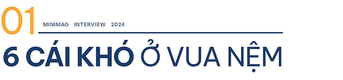 Chuyện tái cấu trúc của chuỗi bán nệm lớn nhất Việt Nam: Doanh số liên tục giảm, 180 tỷ trái phiếu sắp đáo hạn, tân CEO làm gì để đưa Vua Nệm vượt bão, đẩy Ebitda cửa hàng cao nhất lịch sử?- Ảnh 3. Chuyện tái cấu trúc của chuỗi bán nệm lớn nhất Việt Nam: Doanh số liên tục giảm, 180 tỷ trái phiếu sắp đáo hạn, tân CEO làm gì để đưa Vua Nệm vượt bão, đẩy Ebitda cửa hàng cao nhất lịch sử?- Ảnh 3.