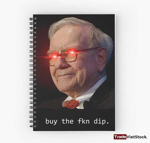 Warren Buffet Meme - Phương pháp đầu tư thành công (Trade Việt Stock)