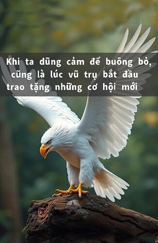 Screenshot_2025-01-21-15-12-19-281-edit_com.facebook.katana