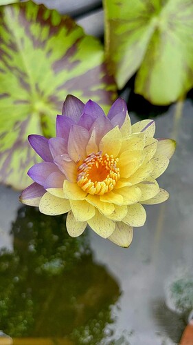 FB_IMG_1767655521738