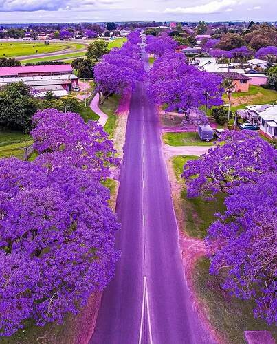 FB_IMG_1706170269664