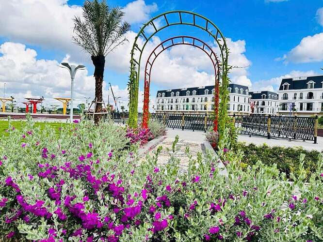 FB_IMG_1720433051366