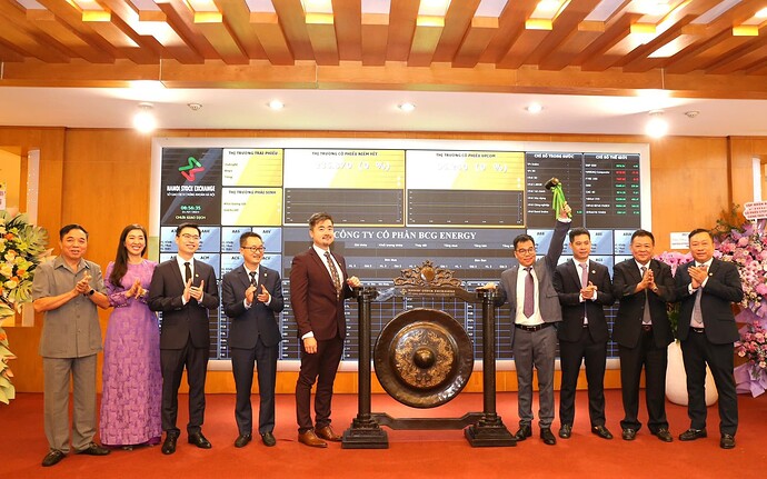 1-17223995732492136625318-0-25-1208-1958-crop-1722399580334824678839