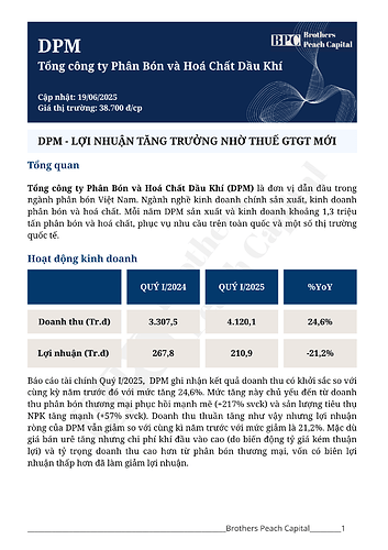 BPC - Báo cáo phân tích DPM